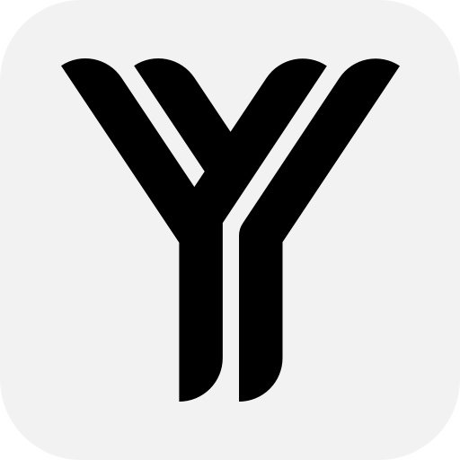 YYDS VPN – Fast Connect